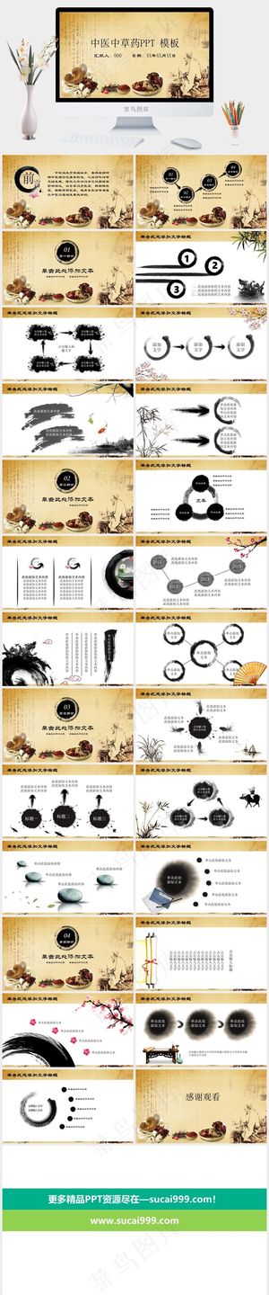 中药中医治病PPT模板ppt模版
