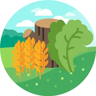 现代农业植物树桩