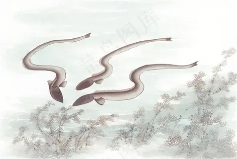 鱼虾蟹龟设计美图素材 鱼虾蟹龟设计美图素材