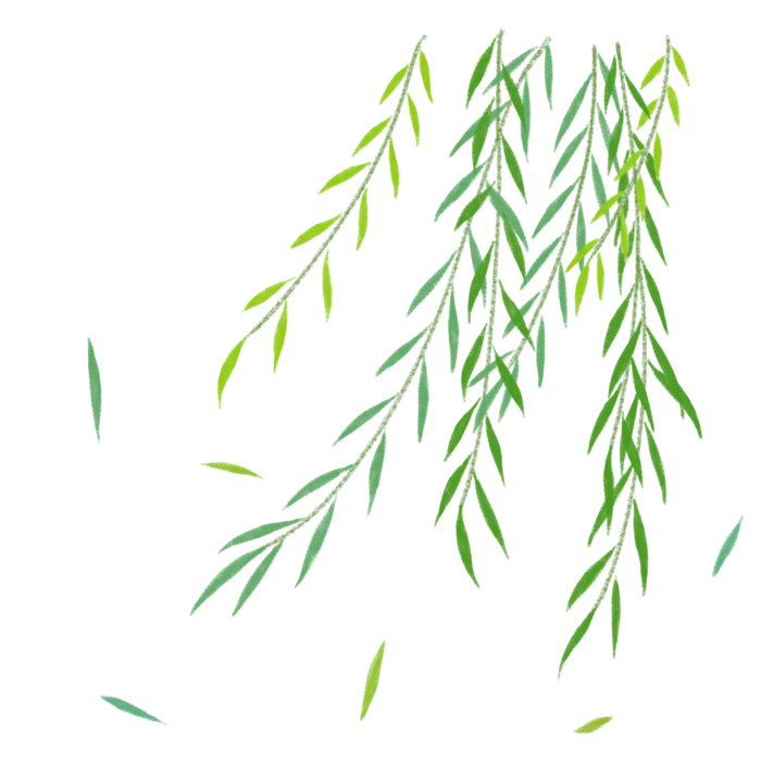 树木树枝树叶免扣素材