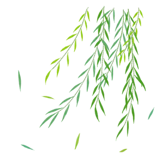 树木树枝树叶免扣素材