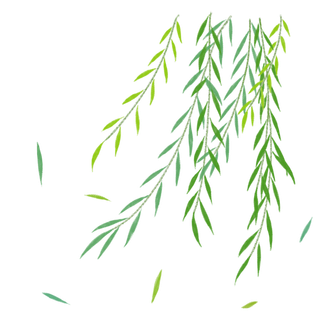 树木树枝树叶免扣素材