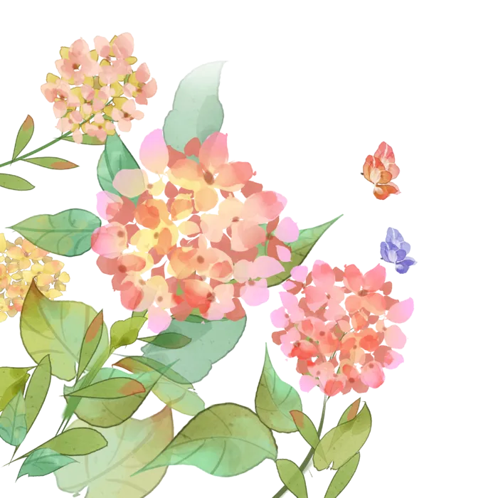 唯美二十四节气夏季插画元素