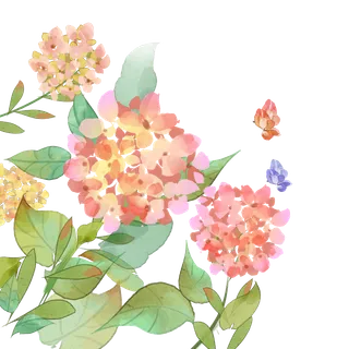 唯美二十四节气夏季插画元素