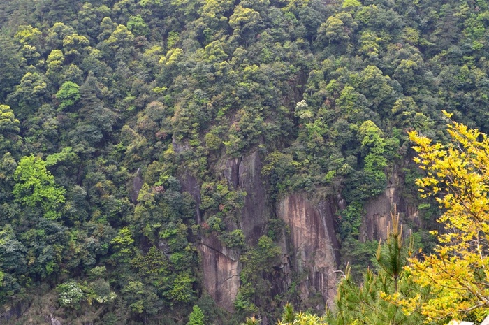安徽黄山风景图片
