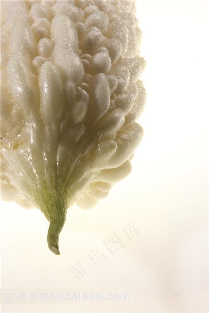 苦瓜高清摄影