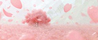 春天粉色樱花浪漫树枝花瓣花朵，阳光清新立春