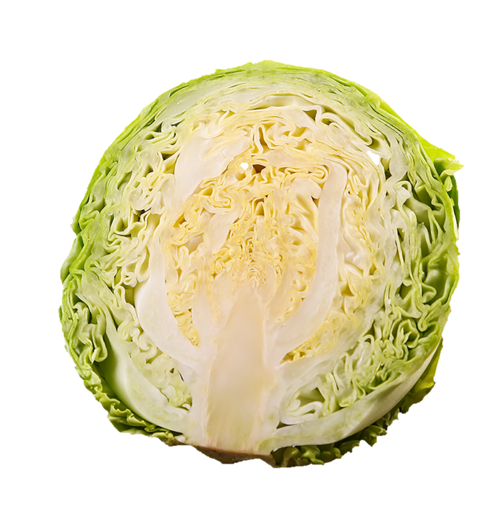 卷心菜蔬菜素材免扣