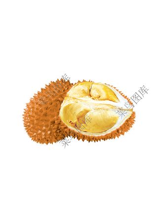 榴莲高清图