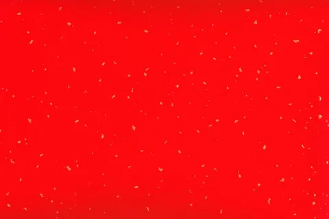 红色庄严海报背景