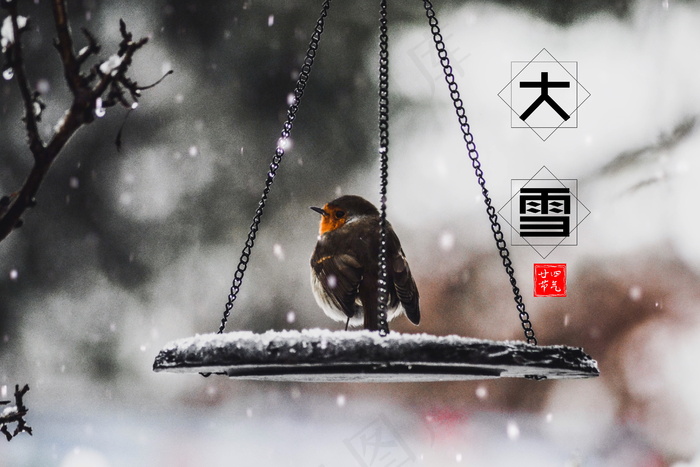 廿四节气大雪图片