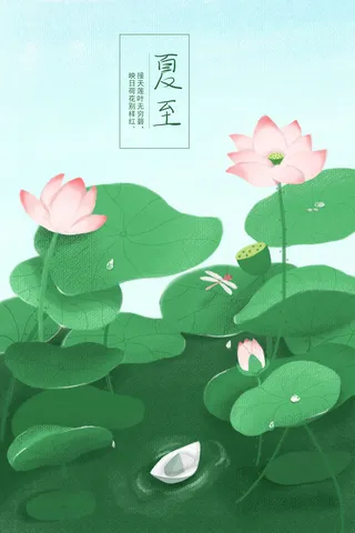 简约荷花荷叶夏至插画绿色夏至海报