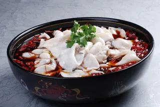 CXC02038金牌沸腾鱼88元