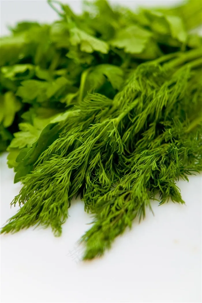 绿色植物蔬菜