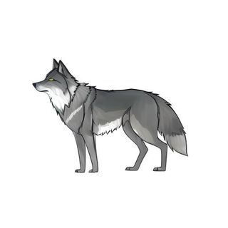 狼动物免抠