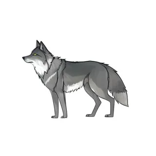 狼动物免抠