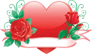 玫瑰花爱心情人节