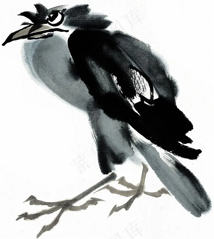 国画鸟艺术绘画美图素材