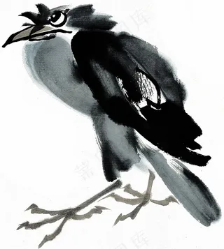 国画鸟艺术绘画美图素材