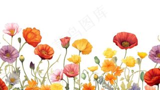 虞美人花丛插画免抠