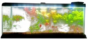 水族馆 PNG免抠