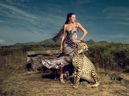 大胆美女与野兽图片