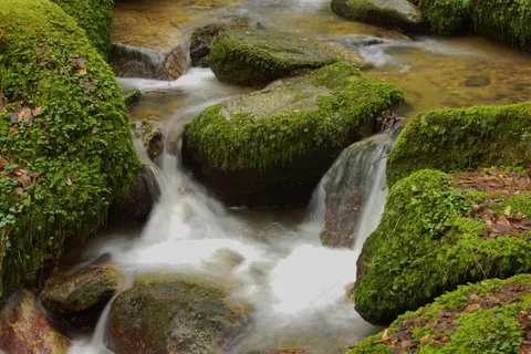 林间泉水风景图片 林间泉水风景图片