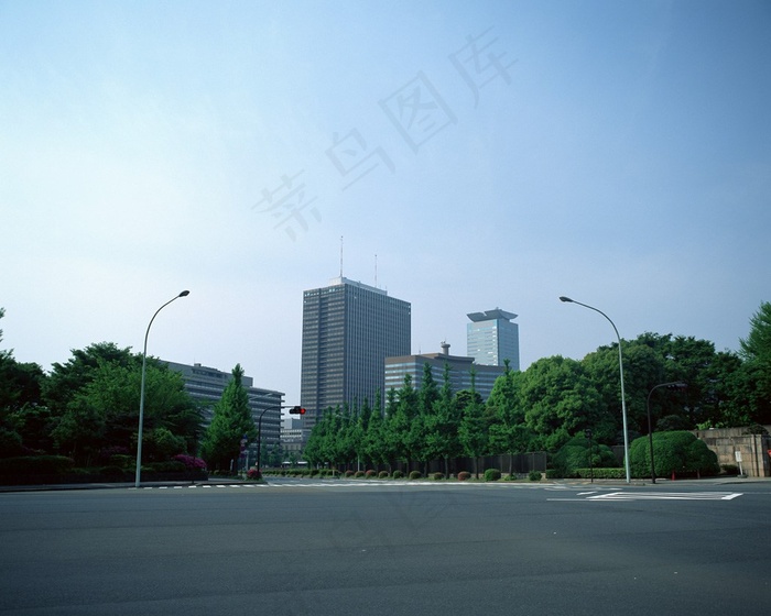 蓝天下街道边树林外的楼房建筑