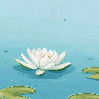 中国风夏日荷塘池白色荷花盛开手绘插画，立夏夏至大暑小暑