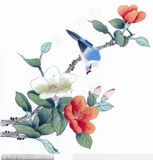 工笔画—茶花 工笔画—茶花