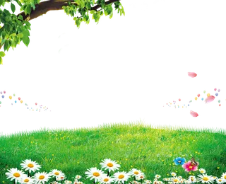 树叶与花草丛装饰适用前景免抠素材