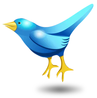 小鸟推特蓝色