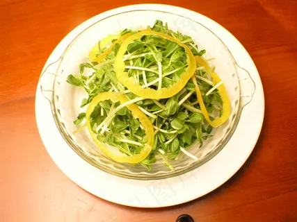 4233清香豆苗 4233清香豆苗