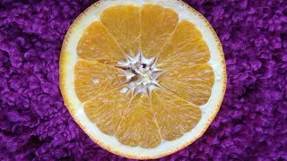 柠檬片素材图片