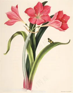 蝶恋花水彩花卉插画 蝶恋花水彩花卉插画