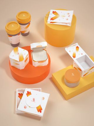 包装智能贴图样机VI效果PSD素材