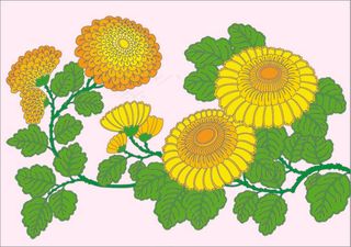 卡通向日葵高清图片