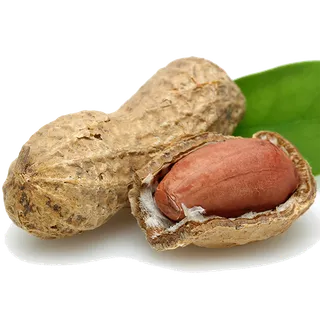 花生 (6)干果超市商品白底图免抠实物摄影png格式图片透明底