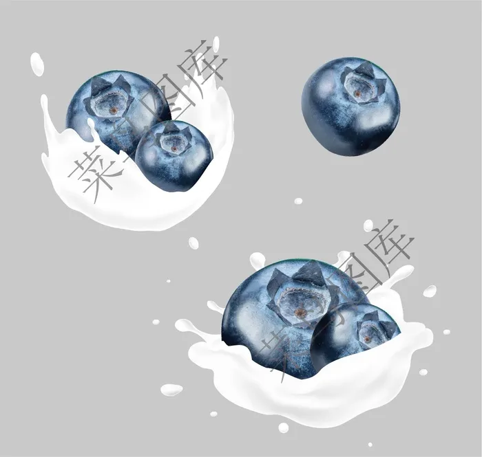 蓝莓，牛奶矢量ai矢量模版下载