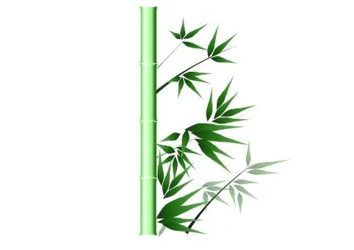 竹子 PNG免抠(640x453)