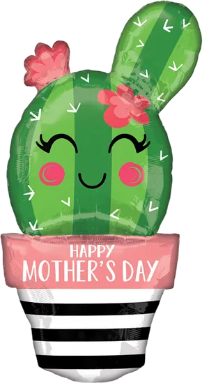 仙人球健康树素材