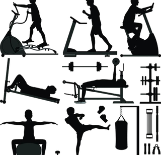 健身锻炼身体