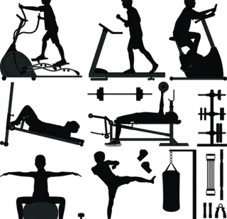 健身锻炼身体
