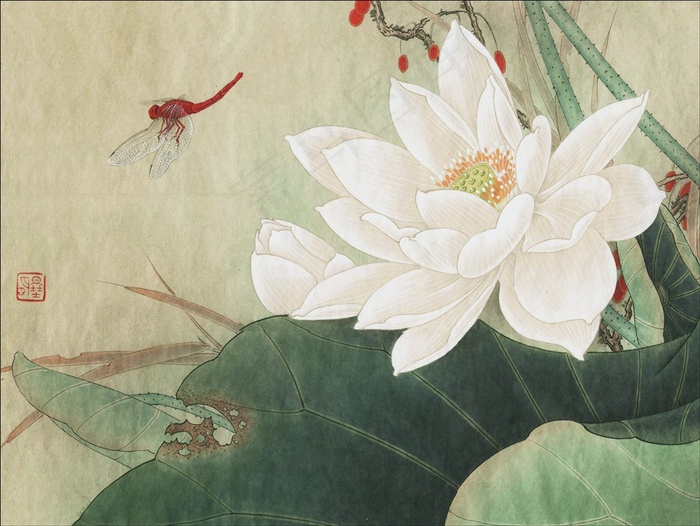 沐夏荷花工笔画