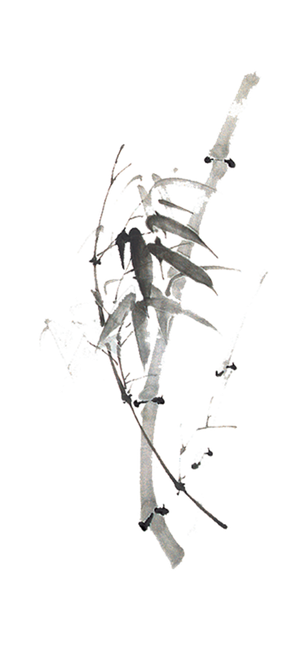 竹子水墨画中国风国画墨水书法竹子画