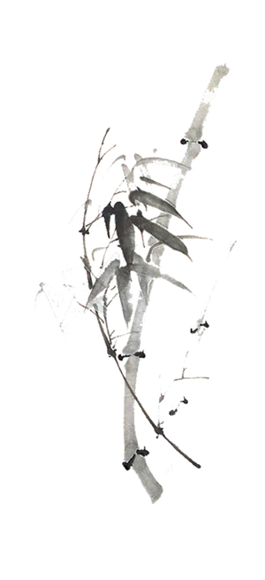 竹子水墨画中国风国画墨水书法竹子画