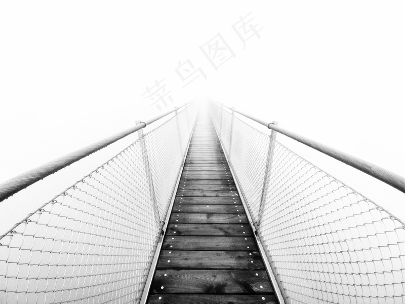 云雾森林图片