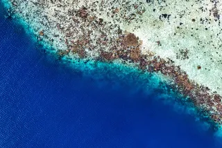 碧海珊瑚礁的壮丽航拍视角