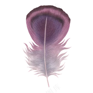 水彩羽毛免扣
