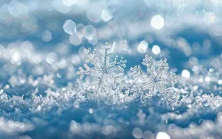 冬天雪花闪耀素材唯美立冬冬至小雪大雪摄影图